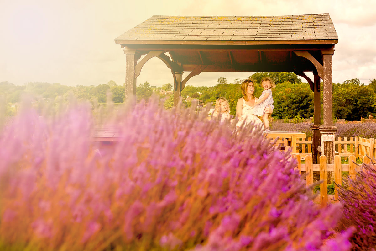 Mayfield Lavender Field in Surrey