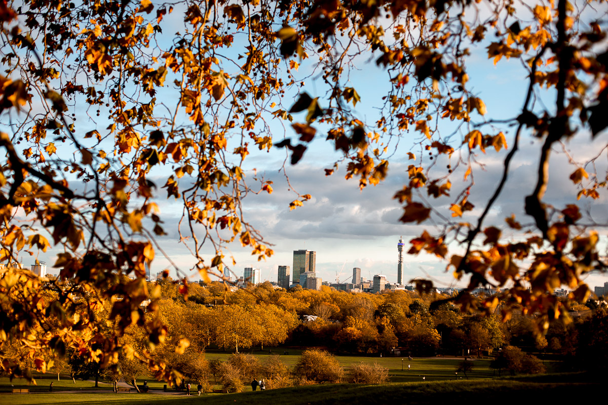 the best london view at primrose hill london